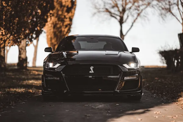 オージー カジノ Android/iOS アプリ